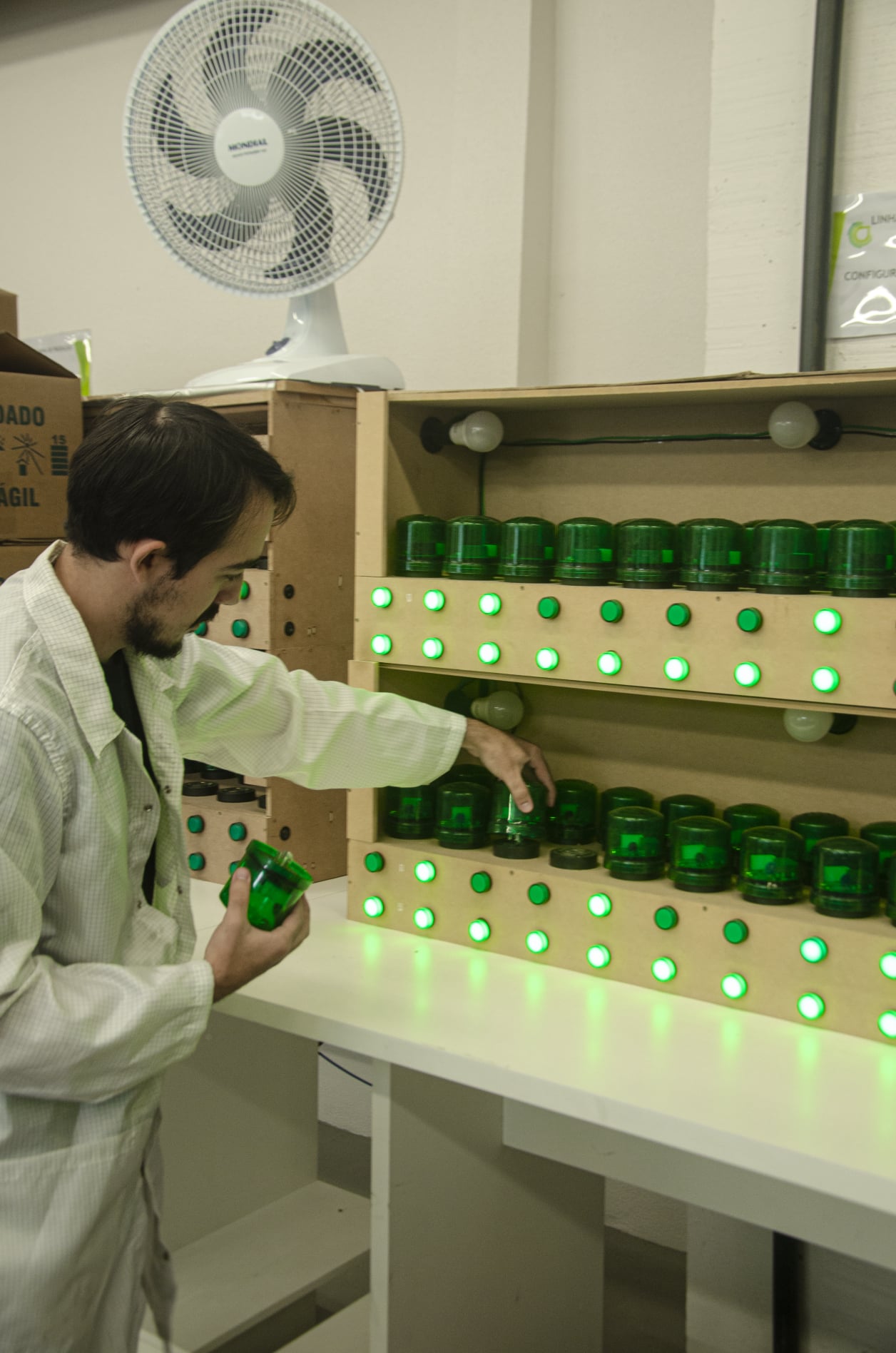 SmartGreen Tecnologia